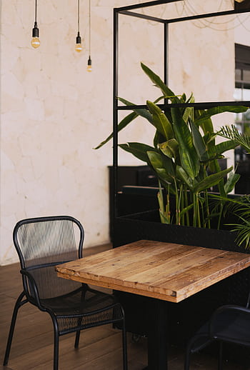 Modern indoor dining area featuring wooden table and lush green houseplants. HD phone wallpaper