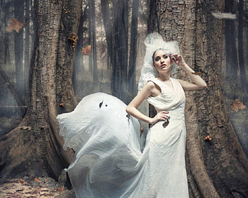 Autumn Beauty, autumn, model, tress, woman HD wallpaper
