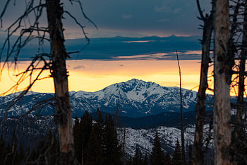 Nature, Trees, Mountains, Snow, Forest HD wallpaper
