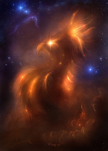Art, Universe, Stars, Bird, Illusion HD phone wallpaper