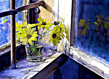 FLOWERS IN THE WINDOW, VASE, FLOWERS, WINDOW HD wallpaper
