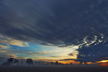 Nature, Trees, Sky, Clouds, Fog HD wallpaper