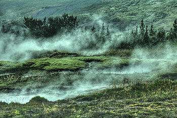 Nature, Grass, Bush, Fog, Hills HD wallpaper