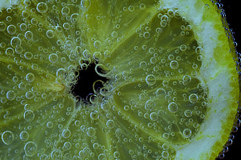 Drops, Macro, Close-Up, Lemon, Citrus HD wallpaper
