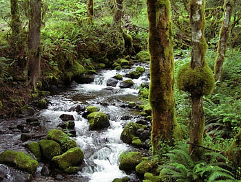 Cascade mountain stream, nature, cascade HD wallpaper