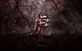 Tiger Kanji Symbol, Tiger Japanese character, red stone texture, Japanese Symbol for Tiger, grunge stone texture, Tiger, Kanji, Tiger hieroglyph, Japanese hieroglyphs HD wallpaper