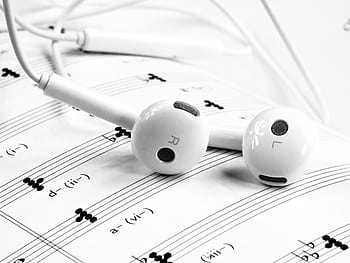 Close-up of white ears resting on sheet music, emphasizing music and sound themes. HD wallpaper