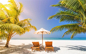 tropical beach, parasol, beach beds, beach, palm trees HD wallpaper