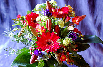 Flowers, Lilies, Gerberas, Greens, Bouquet, Buds, Composition, sia HD wallpaper