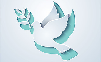 Dove and olive branch, Peace Day HD wallpaper