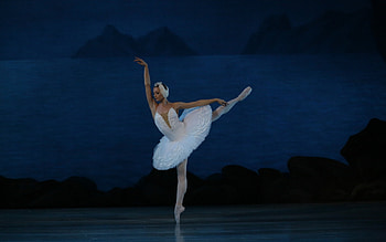 Ballerina , Dance-inspired backgrounds, Beautiful art, Ballet grace HD wallpaper