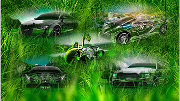 Hidden, motorbikes, animals, collage, cars HD wallpaper
