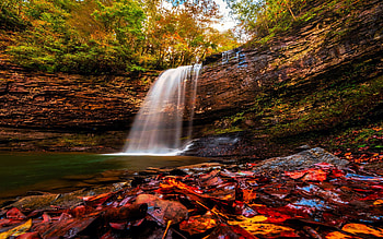 Autumn at Cherokee Falls in Cloudland Canyon State Park, Georgia, river, leaves, fall, colors, trees, cascade, rocks, usa HD wallpaper