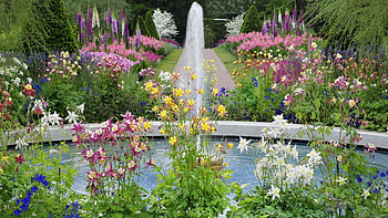 Beautiful garden HD wallpaper