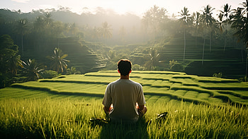 Man contemplating nature, landscape, forest, man, alone HD wallpaper