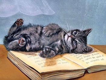 World of Knowledge, kitten, table, book, knowledge, cute, lamp shade HD wallpaper