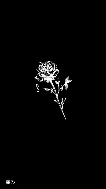Pain Rose, Dark, Sad, Black HD phone wallpaper