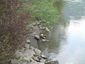 River Olt -Romania, nature, rivers HD wallpaper