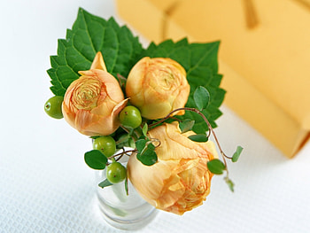 Plants, Roses, Bouquets HD wallpaper