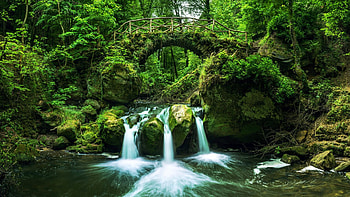 Black Ernz River, Luxembourg, forest, waterfall, bridge, trees, rocks, stones HD wallpaper