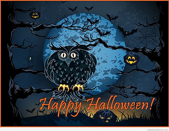Happy Halloween Owl, , happy, banner, owl HD wallpaper