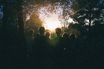 A group of friends enjoying a scenic sunset in a forest, capturing a moment of togetherness. HD wallpaper