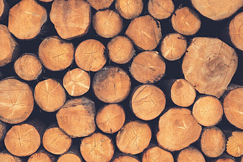 Lumberjack , Posted by Zoey Simpson HD wallpaper