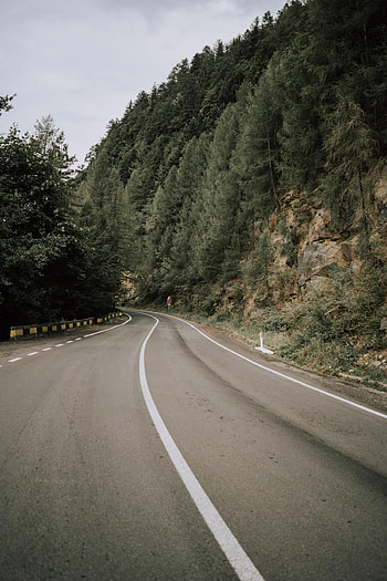 Road, Nature, Trees, Bush, Markup, Slope HD phone wallpaper