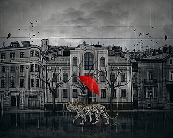 Art, City, Leopard, Girl, Stroll, Umbrella HD wallpaper
