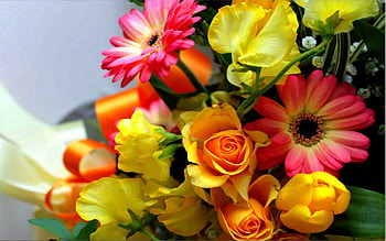 Floral composition, Bright blossoms, Captivating display, Lovely bouquet HD wallpaper