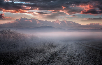 Foggy Morning, landscape, fog, nature, mountain HD wallpaper