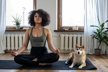 A woman practices yoga at home with her Shiba Inu dog, embracing a relaxing morning. HD wallpaper
