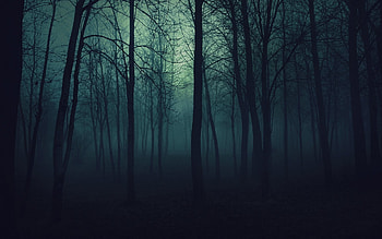 | Background ID:342360 HD wallpaper