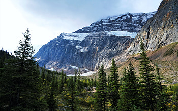 Mt. Edith Cavell, Jasper NP, Alberta, clouds, trees, sky, canada, landscape HD wallpaper