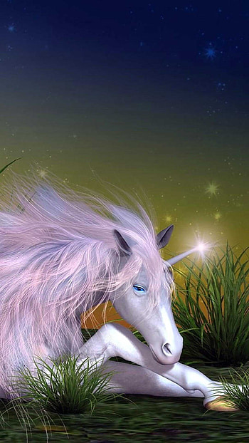 Unicorn , Vobss, , Graphic HD phone wallpaper