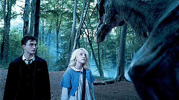 Order of the Phoenix, Movie online, Where to watch HD wallpaper