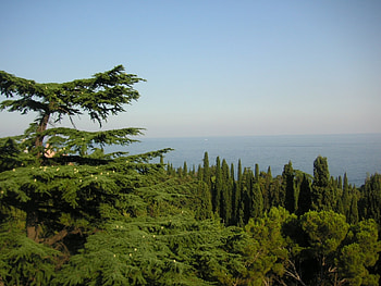 Landscape, Trees, Sea HD wallpaper