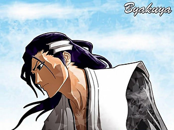Kuchiki Byakuya, captain, bleach, anime HD wallpaper