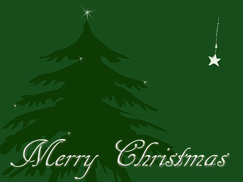 merry christmas, star, twinkles, green, christmas tree HD wallpaper