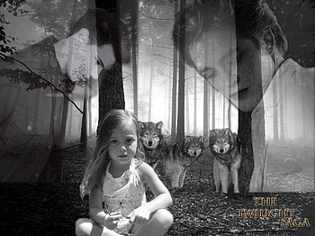 Renesmee with her protectors, twilight, edward, woods, movies, jacob, breaking dawn, renesmee HD wallpaper