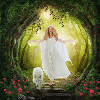 Lady Of the Light, lady, abstract, fantasy, light HD wallpaper
