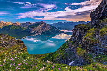 Mountain lake, wildflowers, USA, view, sky, beautiful, mountain, lake HD wallpaper