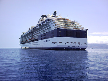 Covid-positive, Cruise travel, Test results, Safety measures HD wallpaper