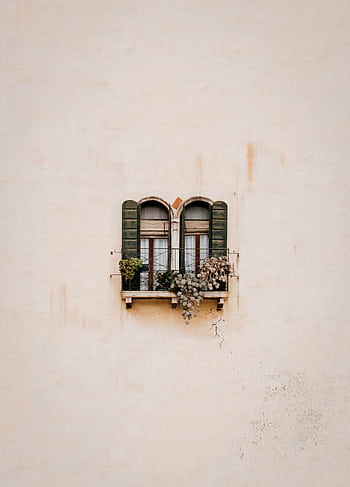 A vintage arched window with green shutters featuring plants, embodying minimalism in architecture. HD phone wallpaper