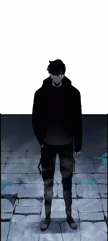 Sung Jin-Woo Solo Leveling Anime, Anime, Solo Leveling, Sung Jin-Woo HD phone wallpaper