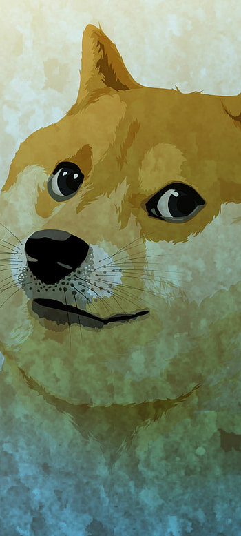 Pocket Doge: Funny , funny HD phone wallpaper