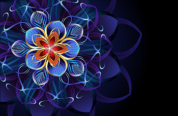 Abstract flower, blue, abstract, flower, texture, luminos, orange HD wallpaper