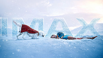 Superman Imax 2025, superman-legacy, superman, krypto, david-corenswet, superheroes, dc-comics, movies, 2025-movies HD wallpaper