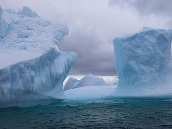 Icebergs in Antartica, antartica, frozen, water, ice HD wallpaper