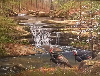 Turkey crossing, curcan, bird, art, abraham hunter, turkey, painting, pictura, waterfall, autumn, pasari HD wallpaper